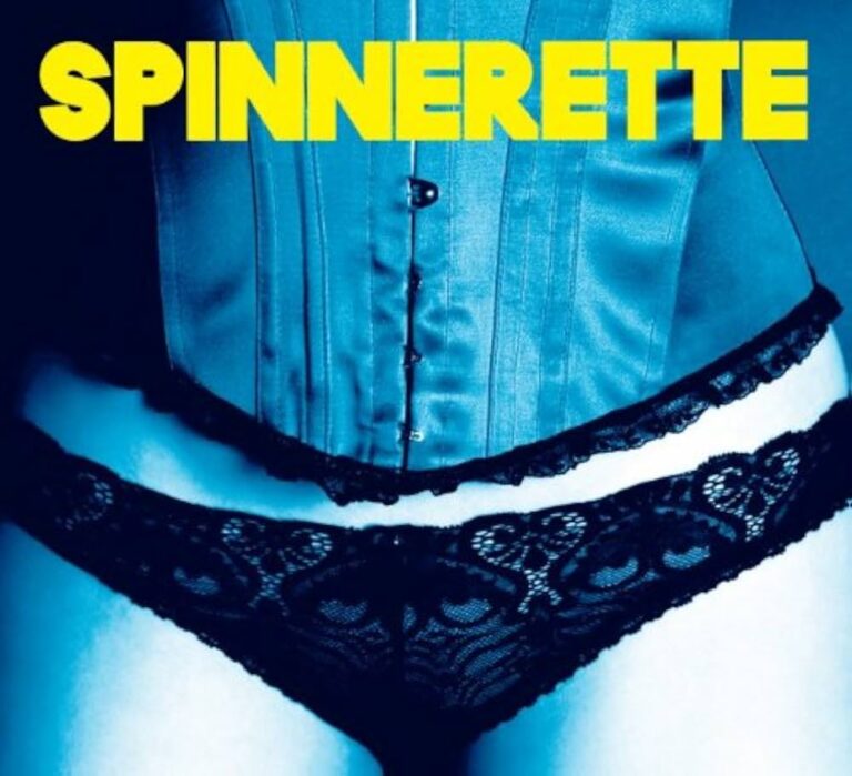 Nahaufnahme eines blauen Korsetts und schwarzer Spitzenunterwäsche.