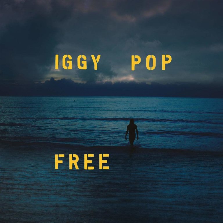 Person im Meer bei Dämmerung, gelber Schriftzug Iggy Pop Free
