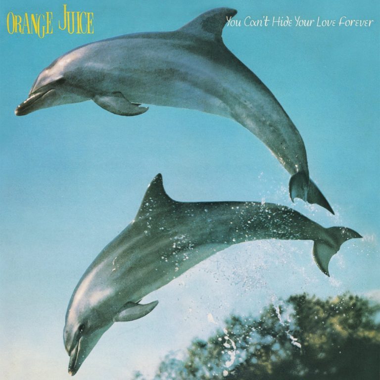 Zwei Delfine springen aus dem Wasser vor blauem Himmel auf dem Albumcover von Orange Juice.