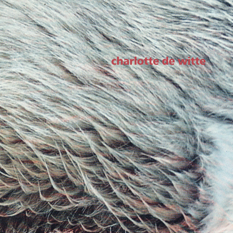 Nahaufnahme von strukturierten, wellenförmigen Linien in Grau- und Weißtönen mit rotem Schriftzug charlotte de witte.