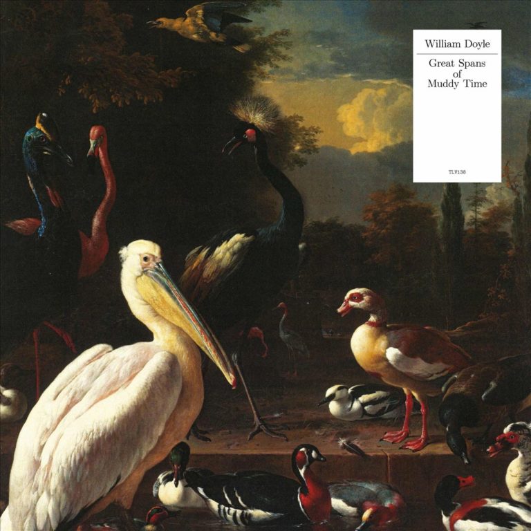Albumcover mit klassischem Gemälde voller Vögel in verschiedenen Posen und Farben, rechteckiges Textfeld mit Titel oben rechts – kunstvoll, rätselhaft, retrofuturistisch.