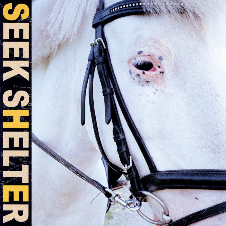 Nahaufnahme eines weißen Pferdes mit Zaumzeug. Das Auge ist gerötet und von dunklen Flecken umgeben. Links steht in Großbuchstaben „SEEK SHELTER“.