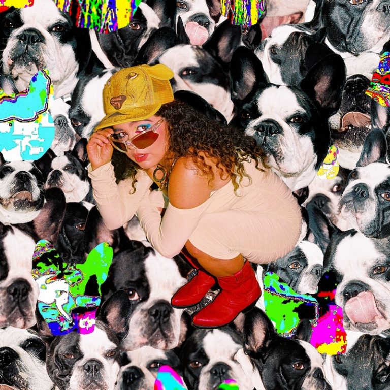 Albumcover von Remi Wolf – „Juno“: Die Künstlerin hockt in roten Boots vor einer Collage aus Hundegesichtern, überlagert von bunten Glitches.