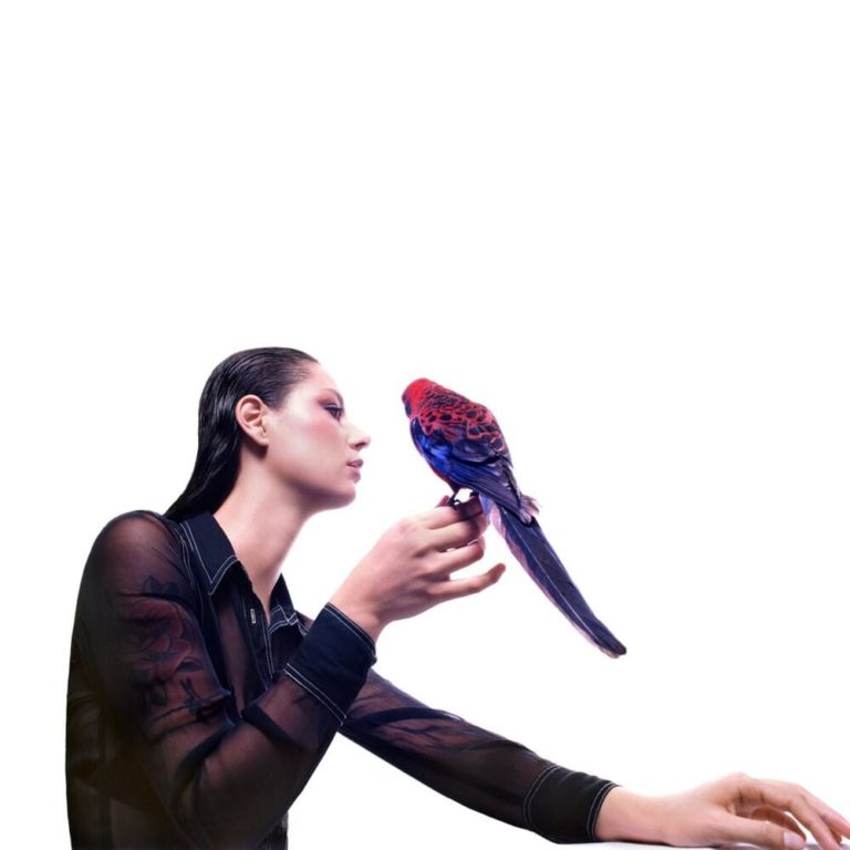 Albumcover von Grace Cummings – Storm Queen: Die Musikerin im transparenten Oberteil hält einen roten Papagei, minimalistisches Artwork mit surreal-poetischem Touch.