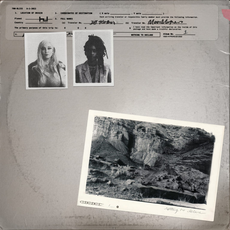 Das Albumcover „Nothing To Declare“ von 700 BLISS zeigt einen grauen Umschlag mit zwei schwarz-weißen Passbildern oben und einem schwarz-weißen Foto einer felsigen Landschaft unten, mit maschinell geschriebenen und handschriftlichen Texten.