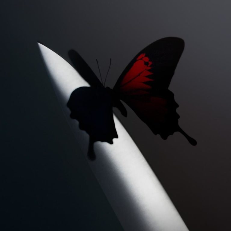 Ein dunkler Schmetterling mit roten Flügeln sitzt auf der Schneide einer silbernen Klinge. Das minimalistische Cover von „Twelve Carat Toothache“ spiegelt Verletzlichkeit, Kontraste und den Schmerz hinter dem Glanz wider.