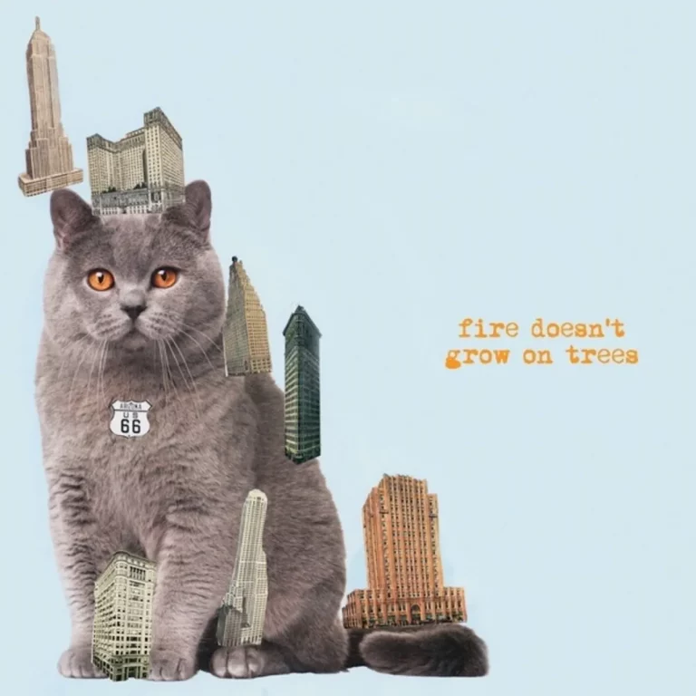 Collagenhaftes Albumcover von „Fire Doesn’t Grow on Trees“: Eine graue Katze mit Route-66-Schild posiert vor pastellblauem Hintergrund, umgeben von Hochhäusern wie von Zauberhand gewachsen.