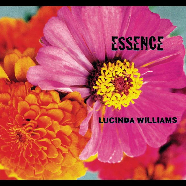 Bunte Blumen in Nahaufnahme mit Albumtitel und Künstlername.