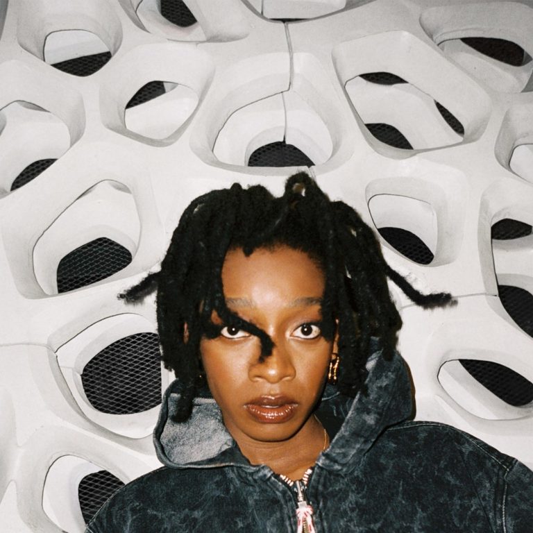 Portrait von Little Simz vor organischer, futuristischer Wabenstruktur – mit ausdrucksstarkem Blick, dunkler Jacke und strukturiertem Dreadlock-Styling, stark und minimalistisch.