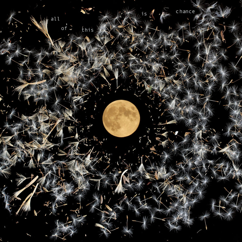 Albumcover von „All Of This Is Chance“ von Lisa O’Neill: Eine goldene Vollmondscheibe umkreist von schwebenden Pusteblumen auf schwarzem Hintergrund.