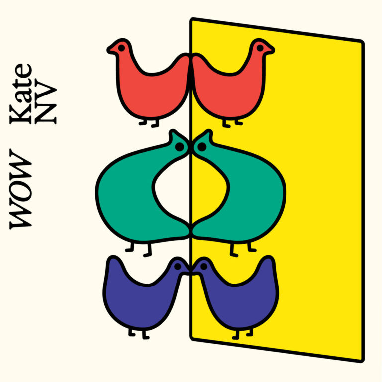 Verspieltes Cover mit stilisierten bunten Vögeln vor gelbem Rechteck – Symbolbild für das farbenfrohe, experimentelle Album „WOW“ von Kate NV.