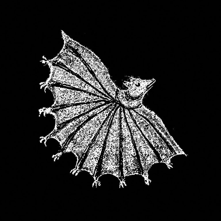 Illustration einer bizarren Fledermaus-ähnlichen Kreatur in Schwarz-Weiß – Symbol für das verstörende und avantgardistische Album „Ignore Grief“ von Xiu Xiu.