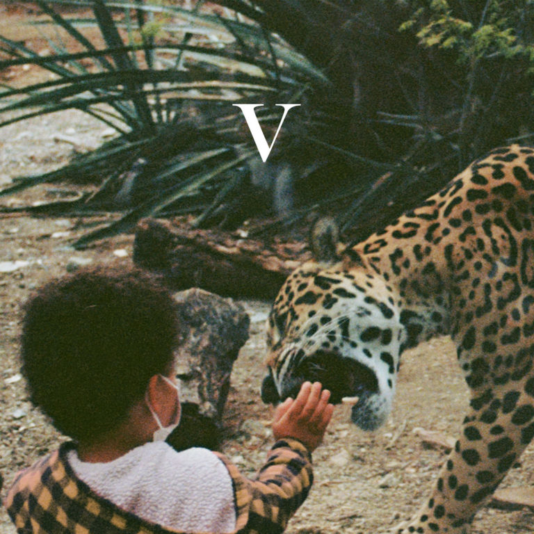 Albumcover von „V“ von Unknown Mortal Orchestra: Ein Kind mit Maske streckt die Hand nach einem fauchenden Leoparden aus, aufgenommen in unscharfer, körniger Ästhetik.