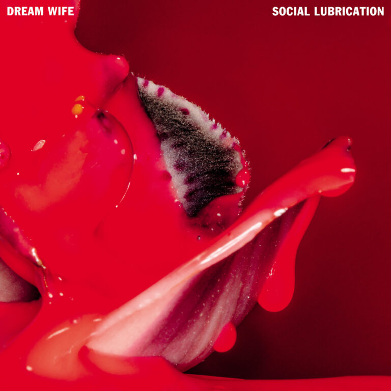 Abstraktes Nahaufnahme-Cover des Albums „Social Lubrication“ von Dream Wife – leuchtend rote Flüssigkeit über einer fleischigen Blüte, sinnlich und provokant.