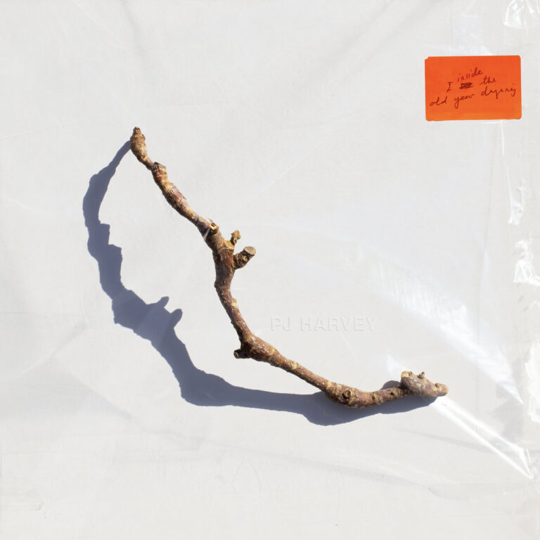 Cover von PJ Harveys Album „I Inside the Old Year Dying“ zeigt einen knorrigen Zweig mit Schattenwurf auf hellem Grund, minimalistisch und symbolisch inszeniert.