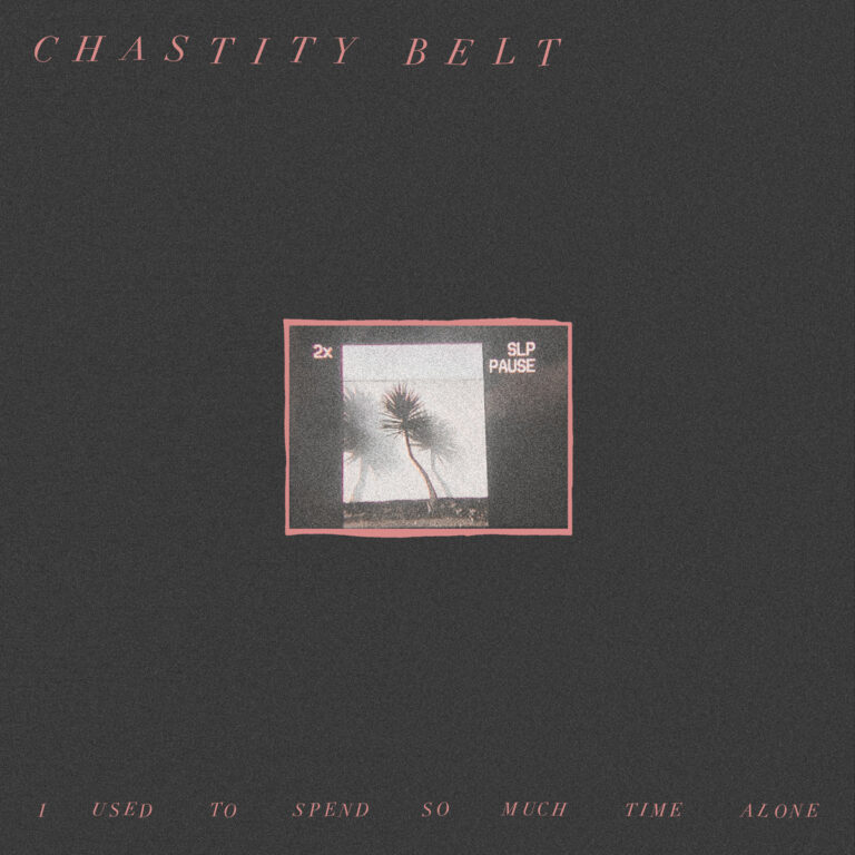 Dunkles Cover mit Palmenfoto in der Mitte und rosa Schrift Chastity Belt