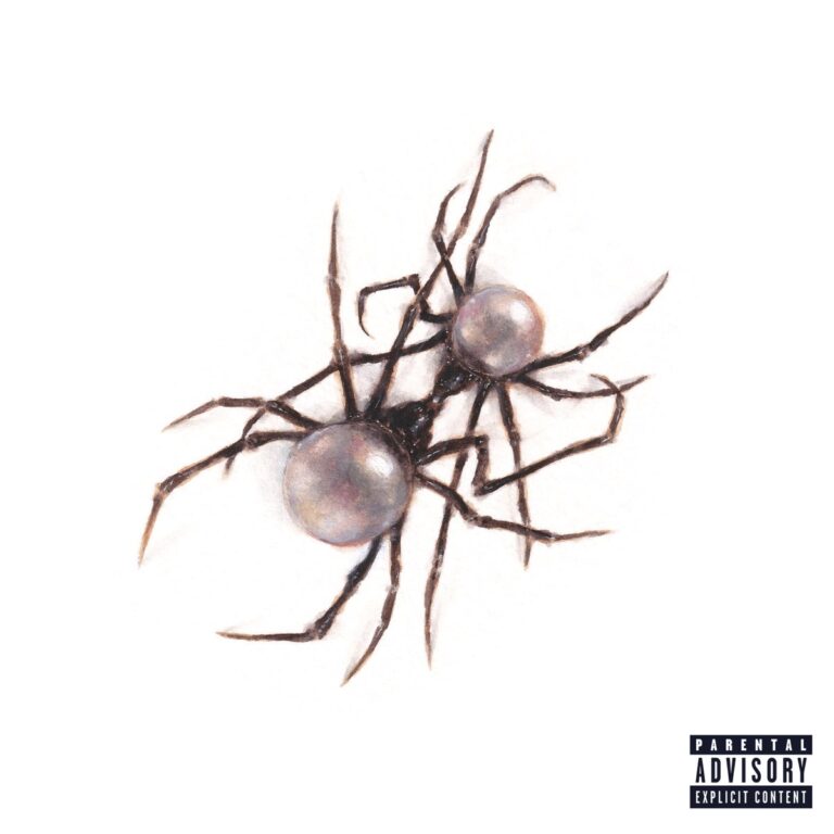 Albumcover von Doja Cat – zwei glänzende Spinnen mit Perlenkörpern auf weißem Hintergrund, minimalistisch und bedrohlich zugleich