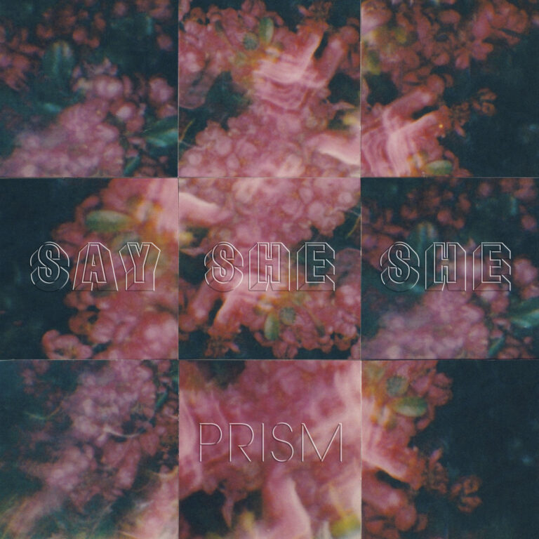 Verwaschene, kaleidoskopartige Collage aus floralen Motiven in Rosa und Dunkelgrün, unterteilt in neun Kacheln mit den Schriftzügen „SAY SHE SHE“ und „PRISM“.