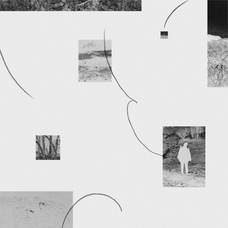 Abstrakte Schwarz-Weiß-Collage mit verstreuten kleinen Landschaftsfotos und geschwungenen Linien auf hellem Grund.