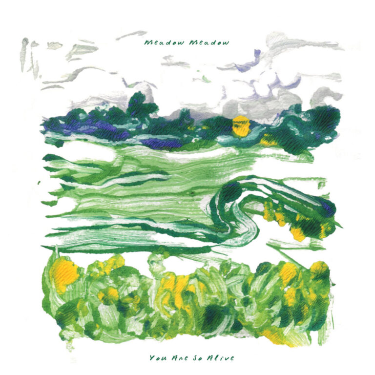 Gemaltes Albumcover mit grüner Wiesenlandschaft und gelben Akzenten – Cover von „You Are So Alive“ der Band Meadow Meadow.