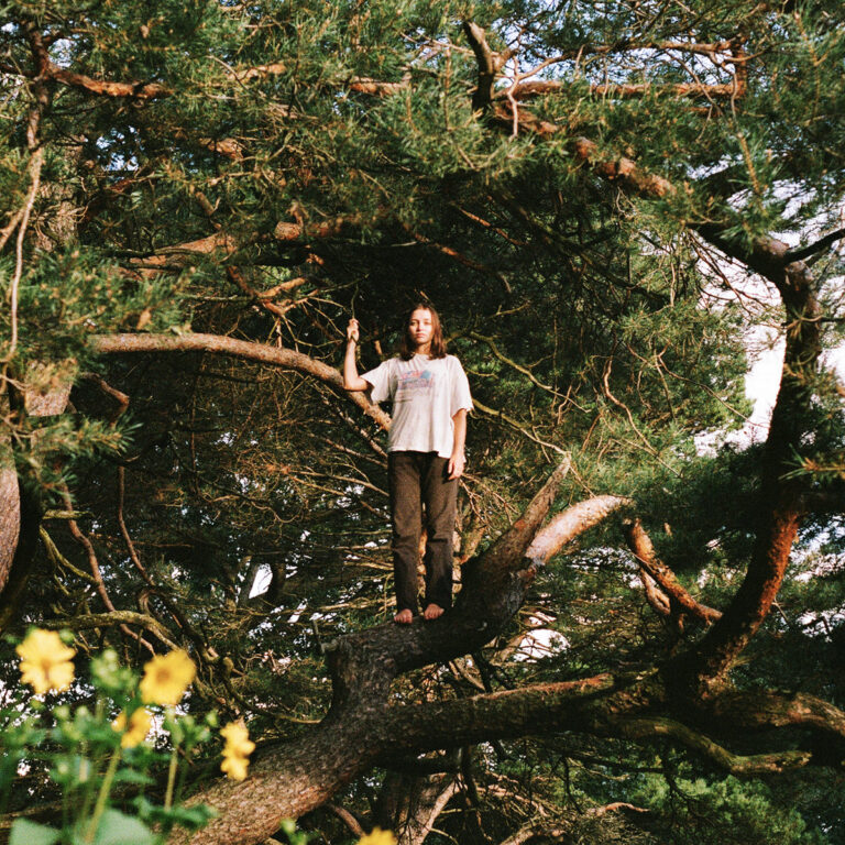 Madeline Link von PACKS steht barfuß auf einem Ast in einem dichten Nadelbaum – Symbolbild für das ungeschönte, naturverbundene Songwriting ihres Albums „Melt the Honey“.