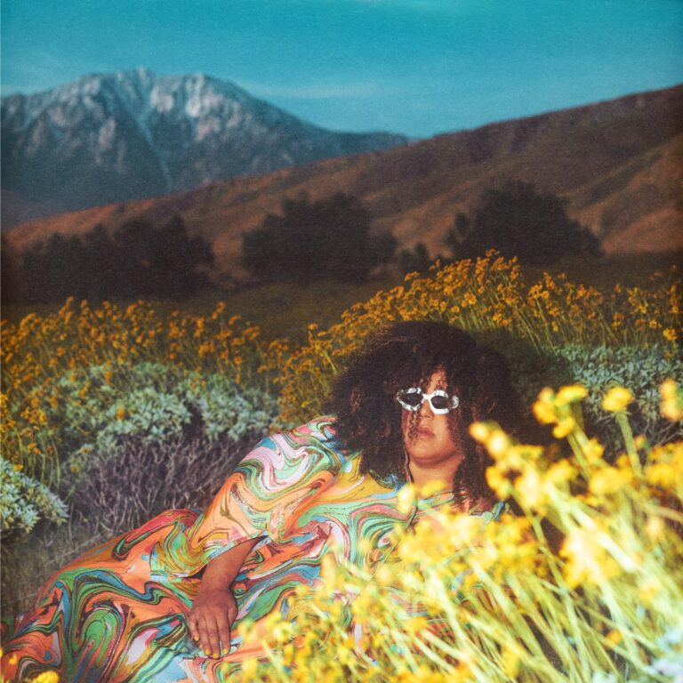 Albumcover von Brittany Howard – What Now: die Sängerin liegt in einem psychedelisch gemusterten Kleid inmitten eines Feldes gelber Blumen vor Bergkulisse.