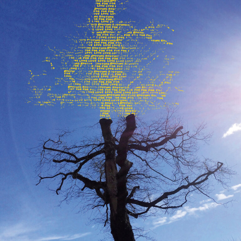 Digital bearbeiteter Baum mit gelbem Schriftlaub, das aus den Worten „Rooting for Love“ besteht – inspiriert von Laetitia Sadiers Albumcover.