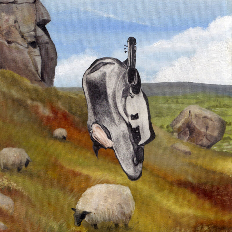Gemaltes Albumcover von English Teacher – This Could Be Texas zeigt eine surreale Szene mit hängendem Kuhkörper über Schafweide und Felsenlandschaft.