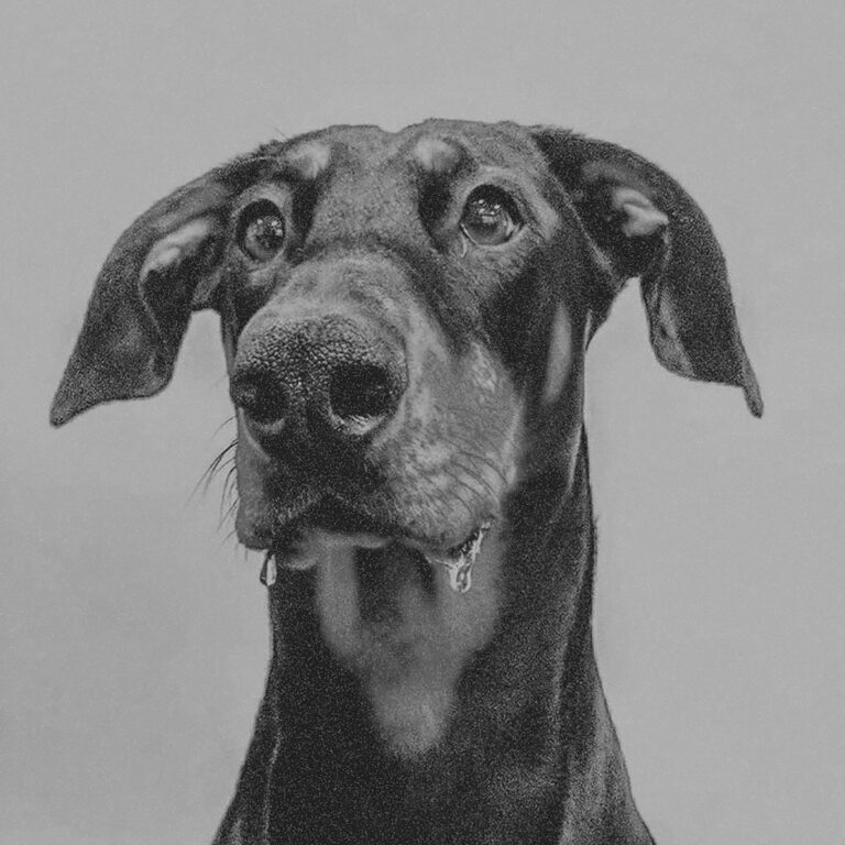 Cover des Albums „POSTINDUSTRIAL HOMETOWN BLUES“ von BIG SPECIAL: ein großer schwarzer Hund mit traurigem Blick und Sabber im Maul, auf grauem Hintergrund.
