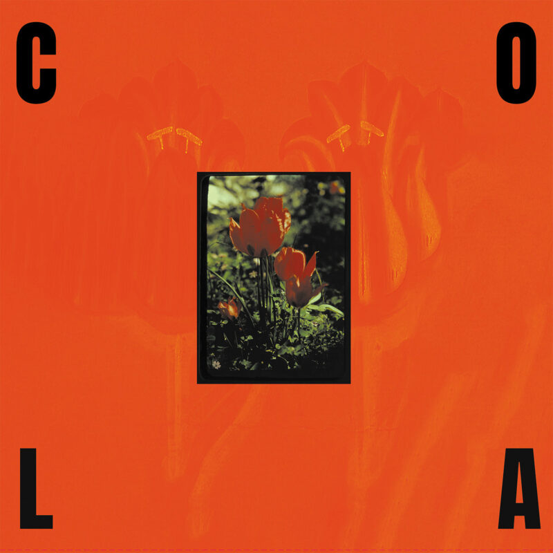Albumcover von Cola – The Gloss, zeigt ein zentral platziertes Foto roter Tulpen auf grell-orangefarbenem Hintergrund, umrahmt von schwarzen Buchstaben.