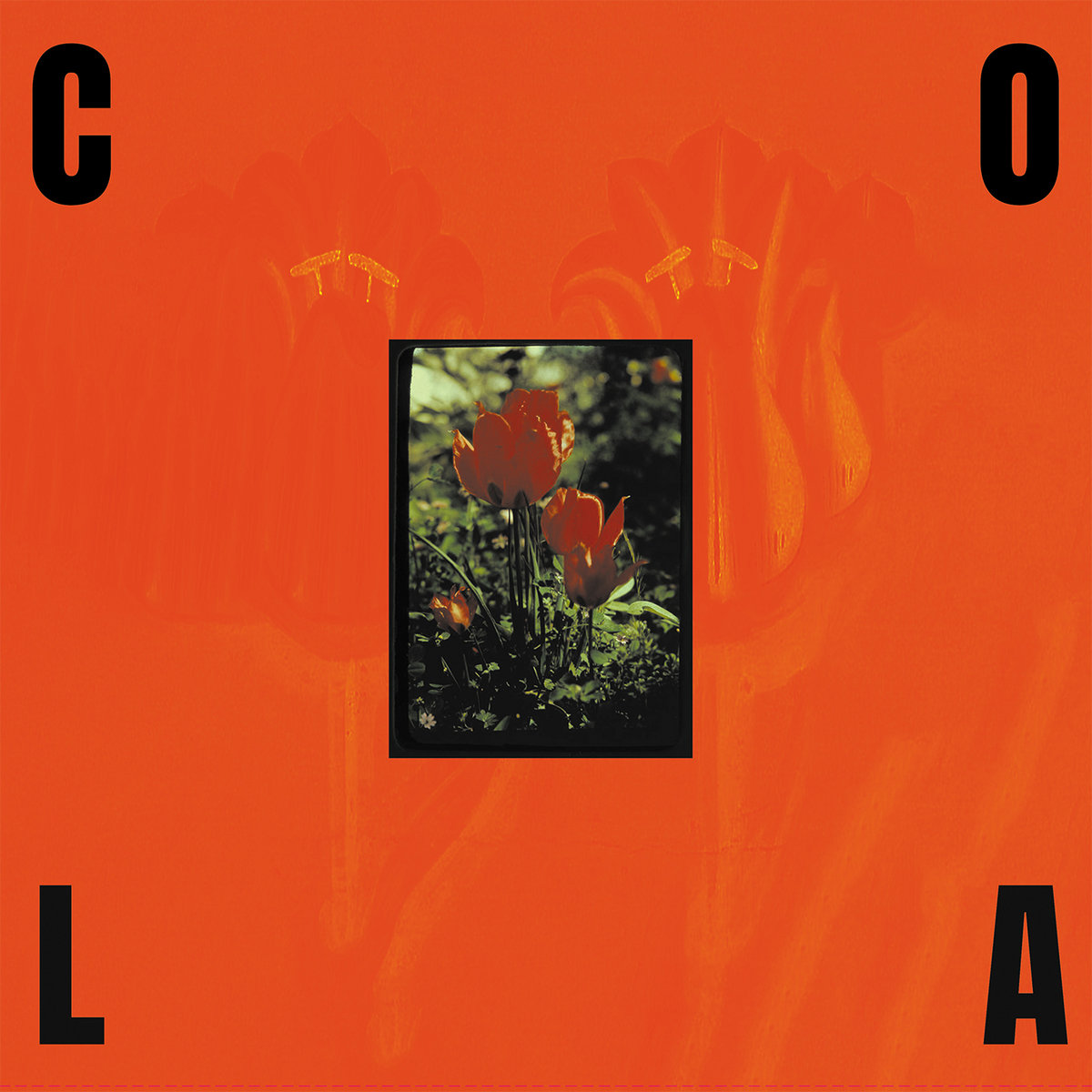 Albumcover von Cola – The Gloss, zeigt ein zentral platziertes Foto roter Tulpen auf grell-orangefarbenem Hintergrund, umrahmt von schwarzen Buchstaben.
