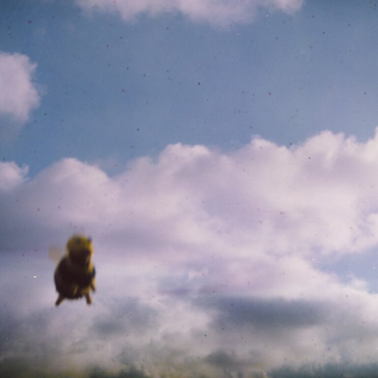 Albumcover von POND – STUNG!, zeigt eine unscharfe Hummel vor wolkigem Himmel, eingefangen in verschwommener, analoger Ästhetik.