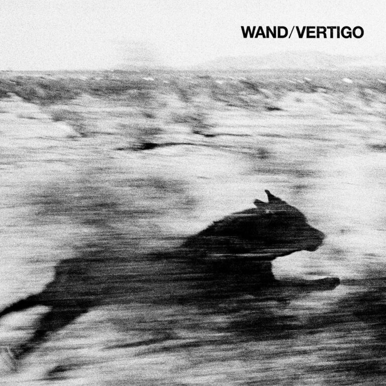Unscharfes Schwarz-Weiß-Cover des Albums „Vertigo“ von Wand mit rennendem Tier in verwischter Landschaft und minimalistischer Typografie.