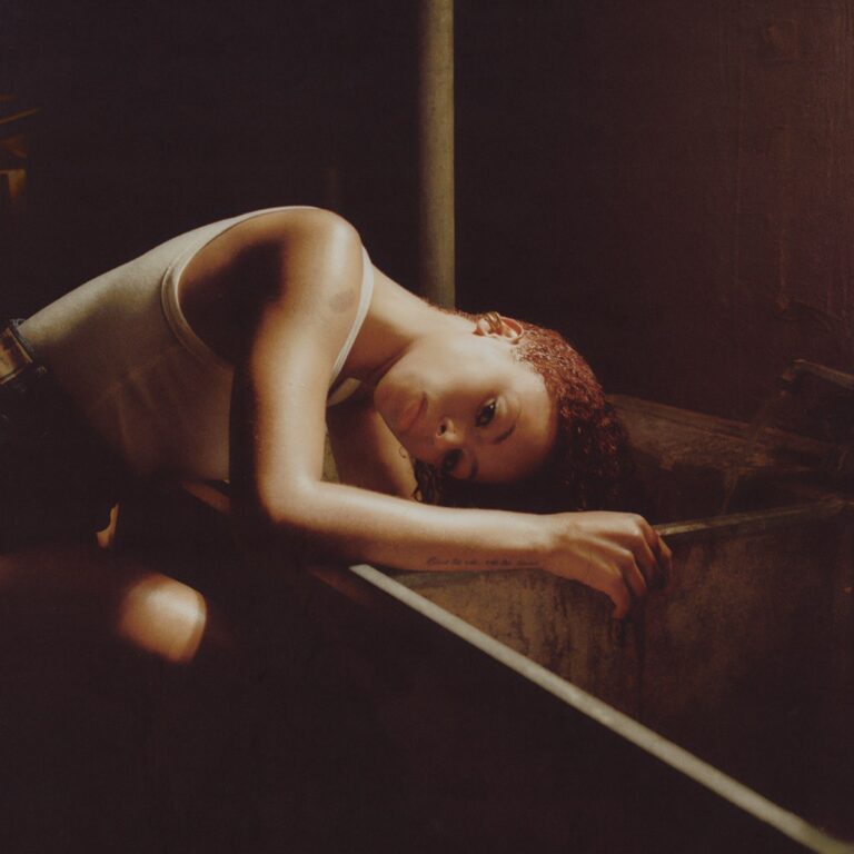 Das Cover von Bird’s Eye zeigt Ravyn Lenae in nachdenklicher Pose, liegend über einem metallischen Becken, in atmosphärischem Halbdunkel – ein Bild voller Intimität, Verletzlichkeit und Kontrolle.