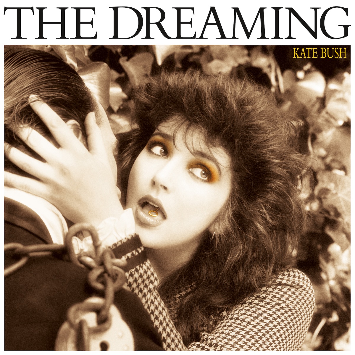 Albumcover von The Dreaming mit Kate Bush, die dramatisch mit einem Mann interagiert.