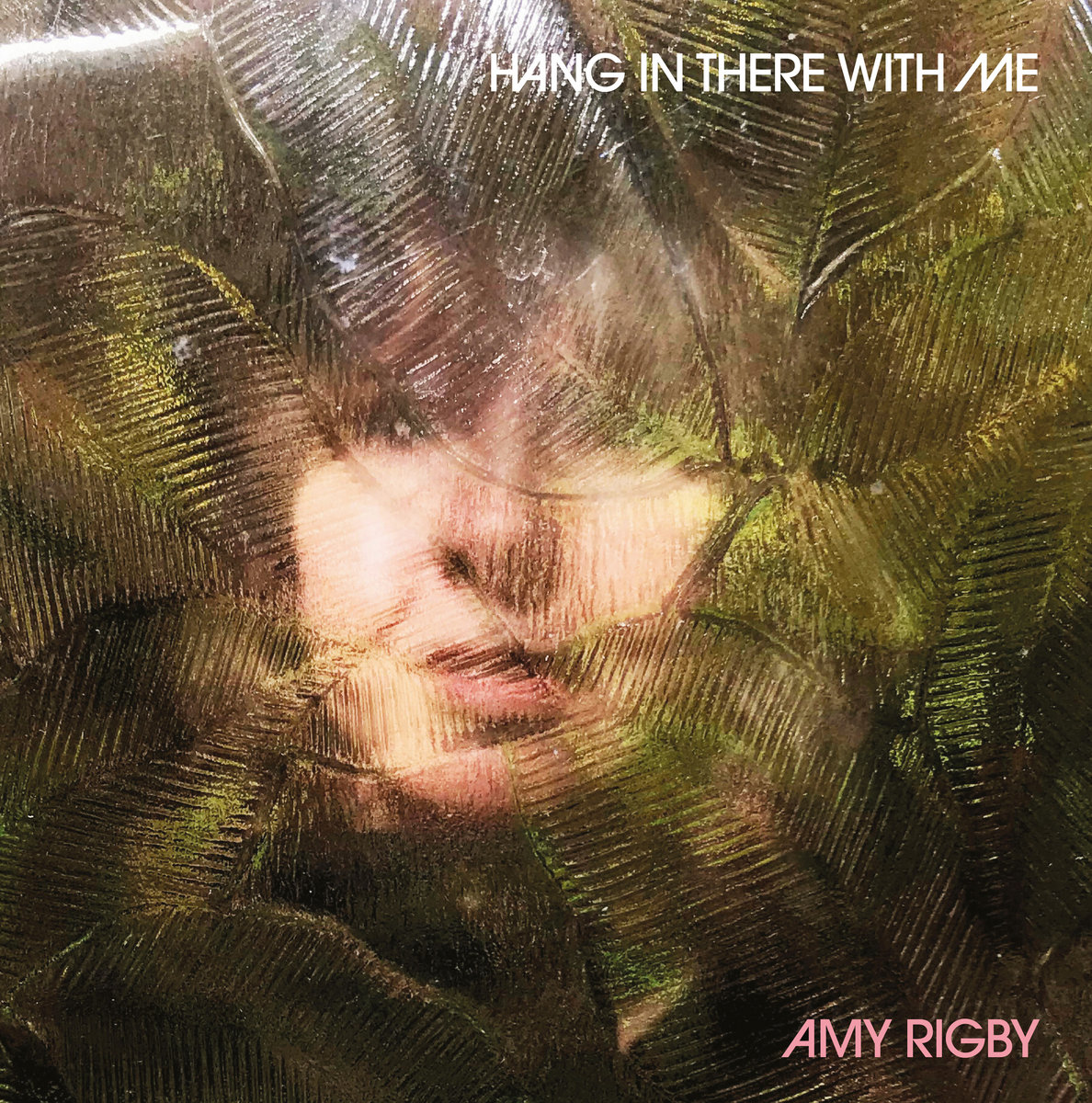 Verzerrtes Porträt von Amy Rigby hinter strukturiertem Glas, durchzogen von grünlich-braunen Lichtreflexen – Cover des Albums Hang In There With Me.