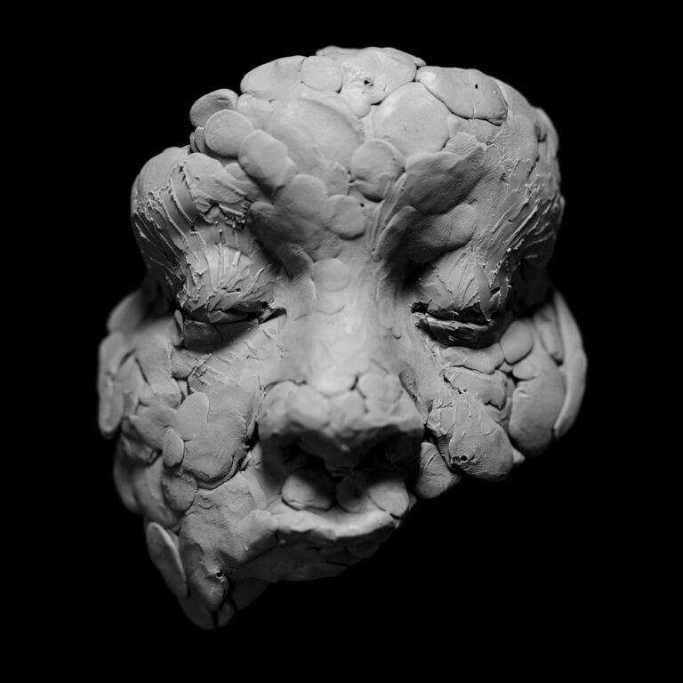 Skulpturales Ton-Gesicht mit geschlossenen Augen vor schwarzem Hintergrund – Cover von Joy Oladokuns introspektivem Album „Observations from a Crowded Room“.