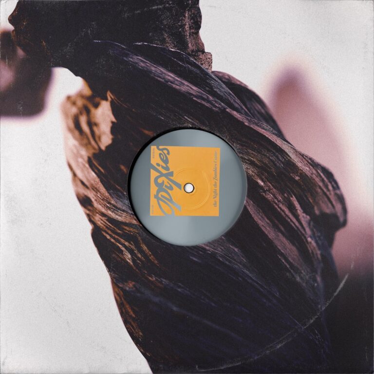Albumcover von The Night the Zombies Came von Pixies: Eine stilisierte Schallplatte mit orangefarbenem Label liegt auf einem abstrakten, verknöcherten Hintergrund, der an verdorrtes Holz oder Stoff erinnert.