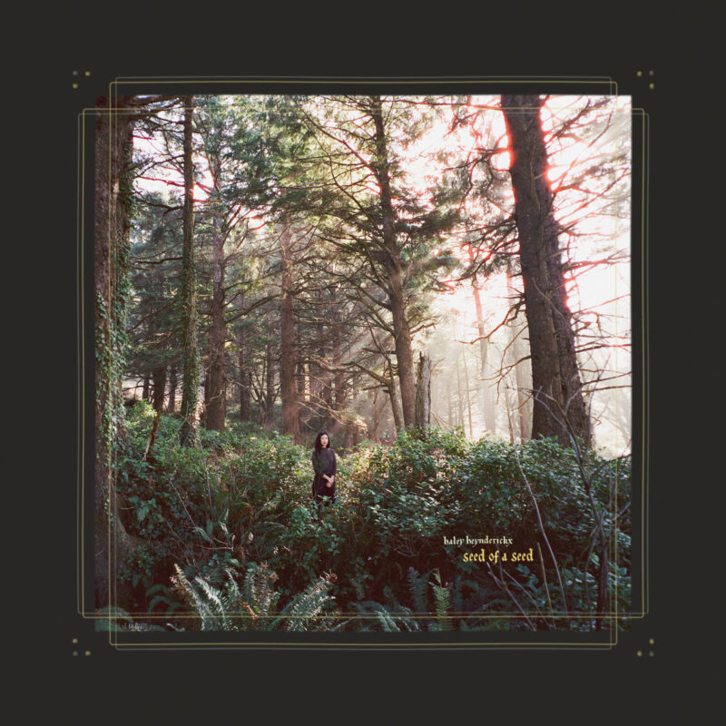 Haley Heynderickx steht allein inmitten dichter Waldvegetation, umgeben von hohen, sonnenbeschienenen Bäumen – Cover des Albums Seed of a Seed.