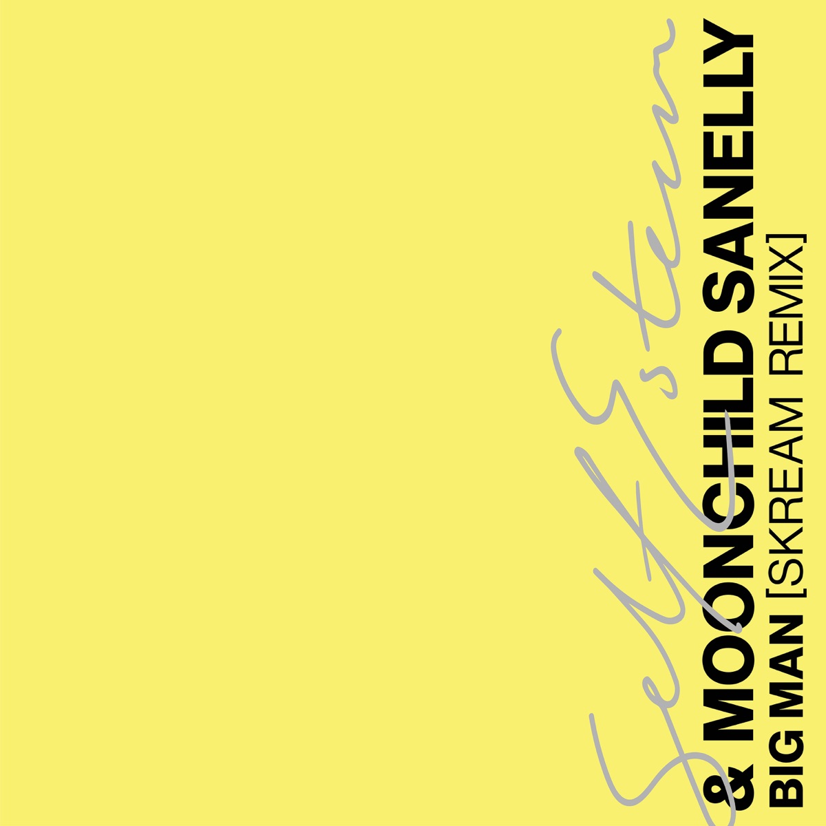 Gelbes Cover mit vertikaler Typografie – Artwork zur Single „Big Man (Skream Remix)“ von Self Esteem, Moonchild Sanelly & Skream.