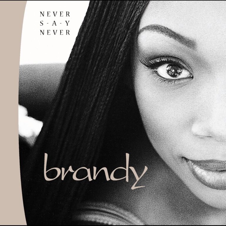 Nahaufnahme von Brandys Gesicht mit langen Haaren und Albumtitel Never Say Never.