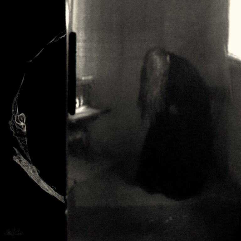 Cover des Albums Perverts von Ethel Cain: Eine düstere Szene in Schwarz-Weiß, mit einer schemenhaften Figur in gebeugter Haltung in einem kahlen Raum.