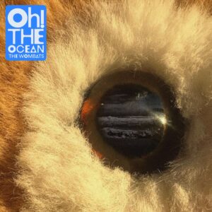 Nahaufnahme eines plüschigen Tierauges, in dem sich ein Ozean spiegelt; oben links das blaue Logo: „Oh! The Ocean – The Wombats“.