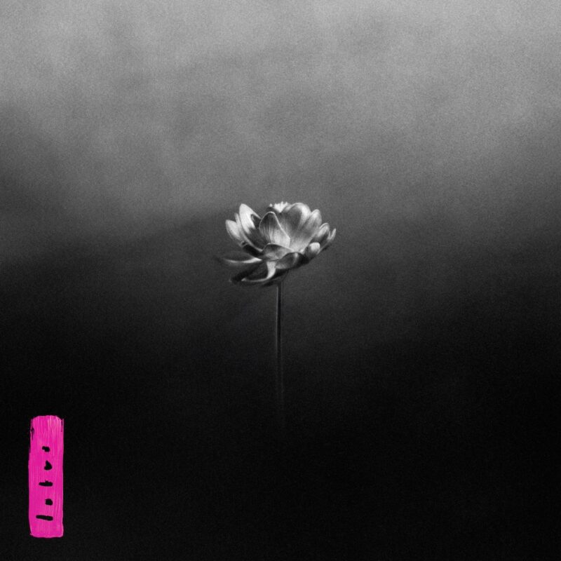 Cover der Single „Free“ von Little Simz – ein intensiver Track über innere Konflikte, Selbstbefreiung und emotionale Dualität aus ihrem kommenden Album „Lotus“.