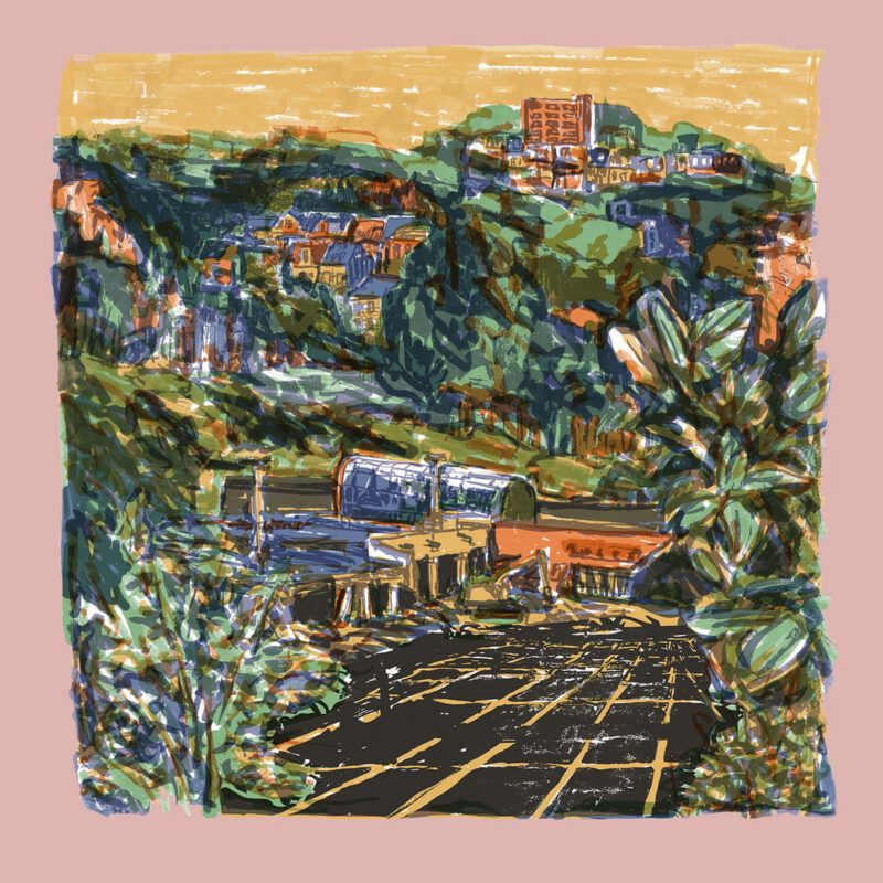 Das Cover von „Natural Causes“ von Adult Mom zeigt eine handgezeichnete, warme Hügellandschaft mit dichter Vegetation, urbanen Strukturen und nostalgischem Farbstich – visuell so vielschichtig wie die Songs des Albums selbst.