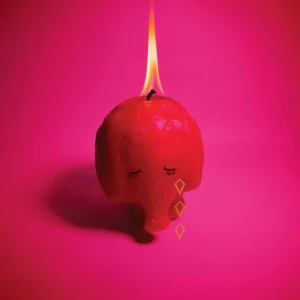 Ein rosa Elefantenkopf in Kerzenform mit geschlossenen Augen und brennender Flamme vor pinkem Hintergrund – Cover des Arcade-Fire-Albums Pink Elephant.