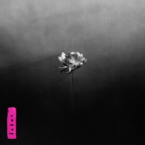 Schwarz-weißes Albumcover von Little Simz – eine einsame Lotusblüte im Nebel als Symbol für innere Heilung und stille Stärke
