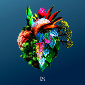 Buntes organisches Albumcover von her trees Shape Shift, eine Komposition aus Dschungelpflanzen und Naturtexturen vor dunkelblauem Hintergrund.