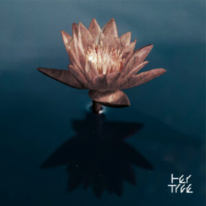 Cover des Albums Don’t Try, Be Beautiful von her tree mit Seerose auf dunklem Wasser, grafisches Logo unten rechts