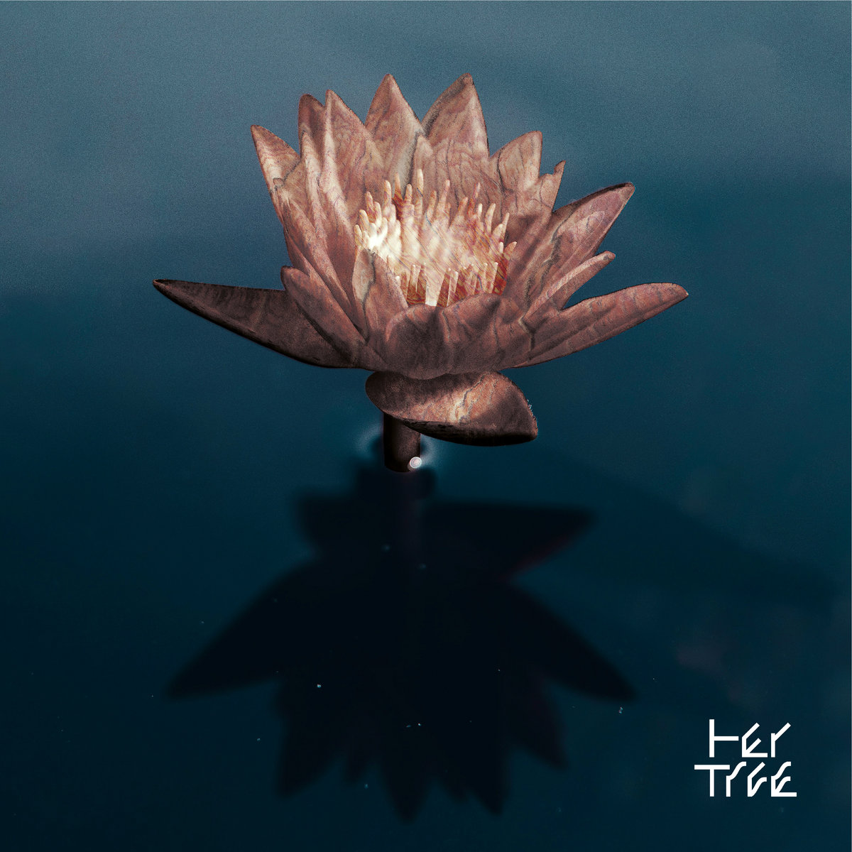 Cover des Albums Don’t Try, Be Beautiful von her tree mit Seerose auf dunklem Wasser, grafisches Logo unten rechts